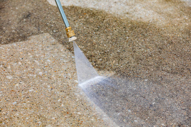 Best Animal Enclosure Cleaning  in Plant City, FL